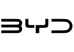 BYD Flags