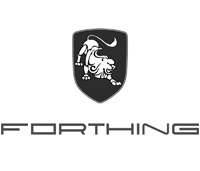 Forthing Flags