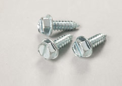 License Plate Screws & Bolts