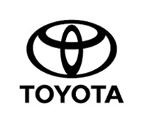 Toyota Flags